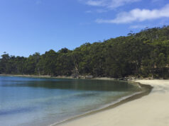 Carnet de voyage : Tasmanie : traversée vers Bruny Island
