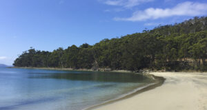 Carnet de voyage : Tasmanie : traversée vers Bruny Island