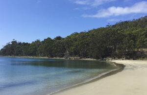 Carnet de voyage : Tasmanie : traversée vers Bruny Island