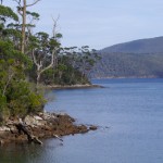 Tasmanie_fev_2016_0766