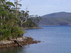Carnet de voyage : Port Arthur et la peninsule de Tasmanie