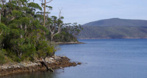 Carnet de voyage : Port Arthur et la peninsule de Tasmanie