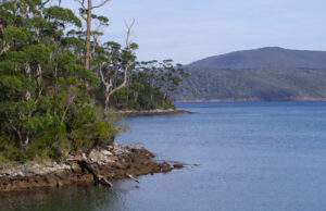 Carnet de voyage : Port Arthur et la peninsule de Tasmanie