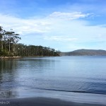 Tasmanie_fev_2016_1417