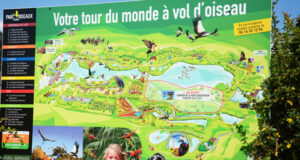 DÉCOUVERTE « EN AVANT-PREMIÈRE » DE LA TOUR PANORAMIQUE .