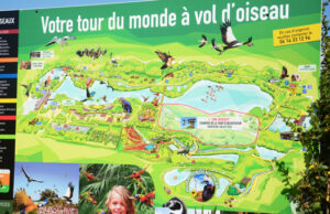 DÉCOUVERTE « EN AVANT-PREMIÈRE » DE LA TOUR PANORAMIQUE .