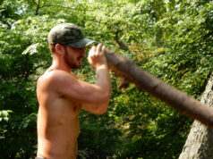 Découvrir le bois de Vincennes autrement …