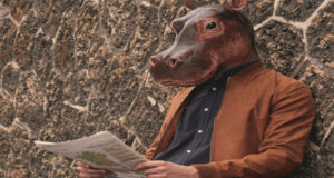 HIPPOPOTAMUS, C’EST À BASTILLE QUE TOUT COMMENCE…