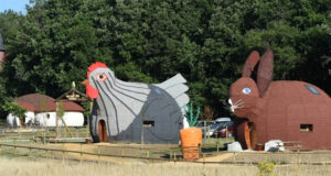 La Vienne et ses trésors : DéfiPlanet’ .