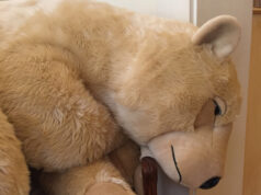 La Pelucherie : la douceur est de retour !