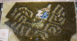 La Vienne et ses trésors : Center Parcs – Domaine du Bois aux Daims.