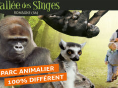 La Vienne et ses trésors : La Vallée des Singes.