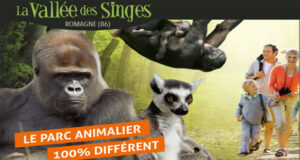 La Vienne et ses trésors : La Vallée des Singes.