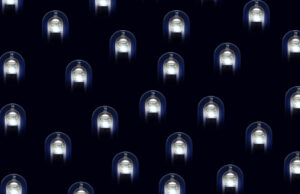 T.O by Lipton VOIT LA VIE EN BLEU !