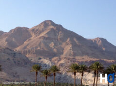 Israël : un pays à découvrir !