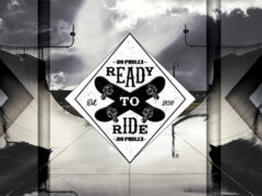 NO PUBLIK, faites sortir votre côté sauvage !