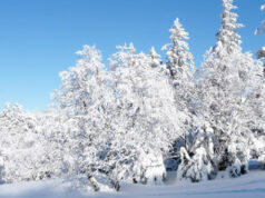 A la découverte des Vosges.