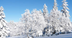 A la découverte des Vosges.