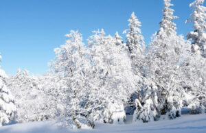 A la découverte des Vosges.