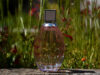 Jimmy Choo L’EAU, la fragrance de la femme dynamique, séduisante…