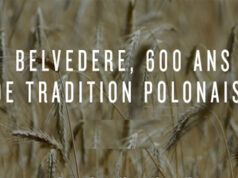 BELVEDERE DÉVOILE SON NOUVEAU MAGNUM : LE MIDNIGHT SABER .