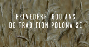 BELVEDERE DÉVOILE SON NOUVEAU MAGNUM : LE MIDNIGHT SABER .