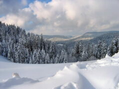 Les Vosges : l’autre massif montagneux.