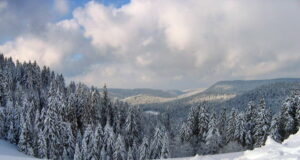 Les Vosges : l’autre massif montagneux.