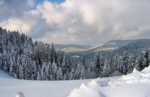 Les Vosges : l’autre massif montagneux.
