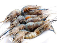 Brochettes de crevettes* à la noix de coco et gelée de poivron rouge fumé .