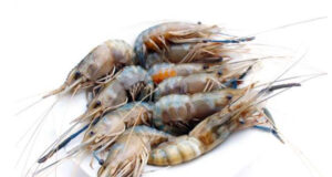 Brochettes de crevettes* à la noix de coco et gelée de poivron rouge fumé .