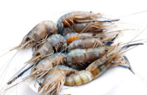 Brochettes de crevettes* à la noix de coco et gelée de poivron rouge fumé .