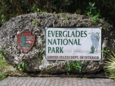 Les Everglades : patrimoine en péril