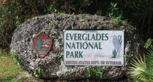 Les Everglades : patrimoine en péril