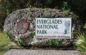 Les Everglades : patrimoine en péril