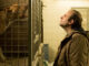 ” Chien ” de Samuel Benchetrit.
