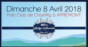 Sous le signe de la belle automobile et du cheval : Le Rallye d’Aumale à Chantilly.