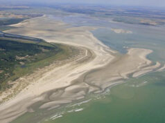 Baie de Somme : plongée en pleine nature !