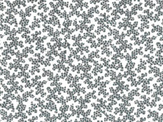 Agnès b. LES IMPRIMÉS COLLECTOR.