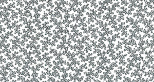 Agnès b. LES IMPRIMÉS COLLECTOR.