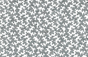 Agnès b. LES IMPRIMÉS COLLECTOR.