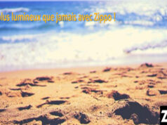 Un été plus lumineux que jamais avec Zippo !