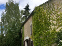 Cravant : un village au détour d’un chemin.