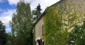 Cravant : un village au détour d’un chemin.