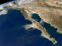 Péninsule de Basse Californie ( Mexique) : pour oublier le froid et la grisaille.