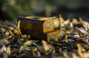 AUDITORIUM : le parfum l’Europe !