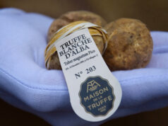 La Truffe Blanche d’Alba, certifiée et numérotée.