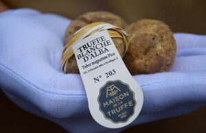 La Truffe Blanche d’Alba, certifiée et numérotée.