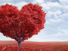 POUR LA SAINT-VALENTIN L’ORIGINE DU GOÛT VOUS OFFRE SON CŒUR.