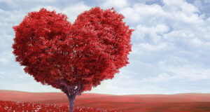 POUR LA SAINT-VALENTIN L’ORIGINE DU GOÛT VOUS OFFRE SON CŒUR.